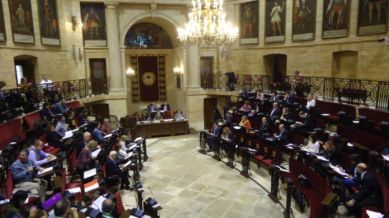 Primer pleno ordinario de la legislatura