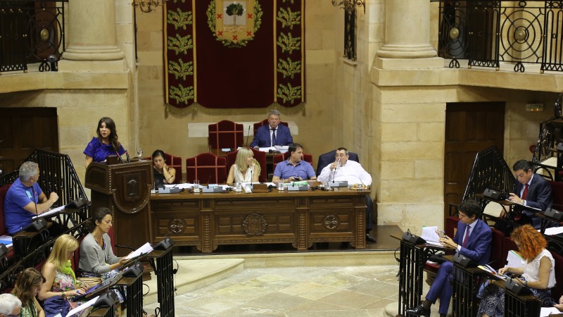 Pleno Juntas Generales Bizkaia (20.07.2016)