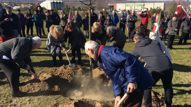 2017.01.28 Plantación retoño en Sartaguda