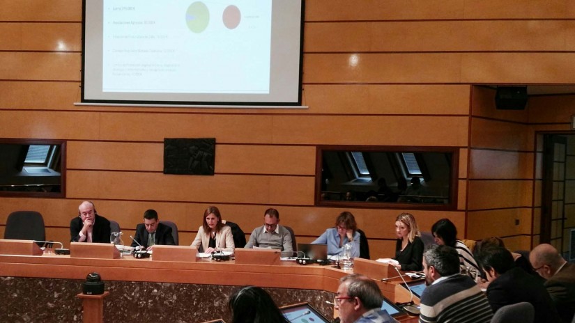 Aldundiak 21,2 milioi euro bideratuko ditu lehenengo sektorearen laguntzetarako eta 53 milioi euro ingurumen-azpiegituretarako